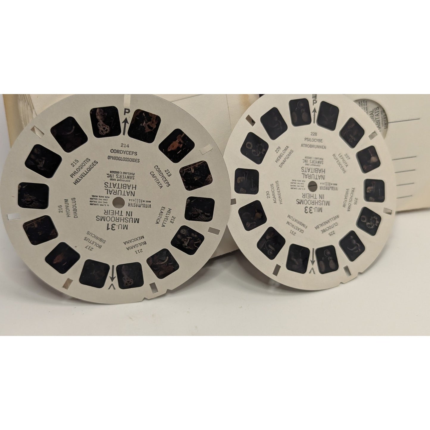 Vintage View-Master w/ Set of 33 Reels Mushrooms In Their Natural Habitats