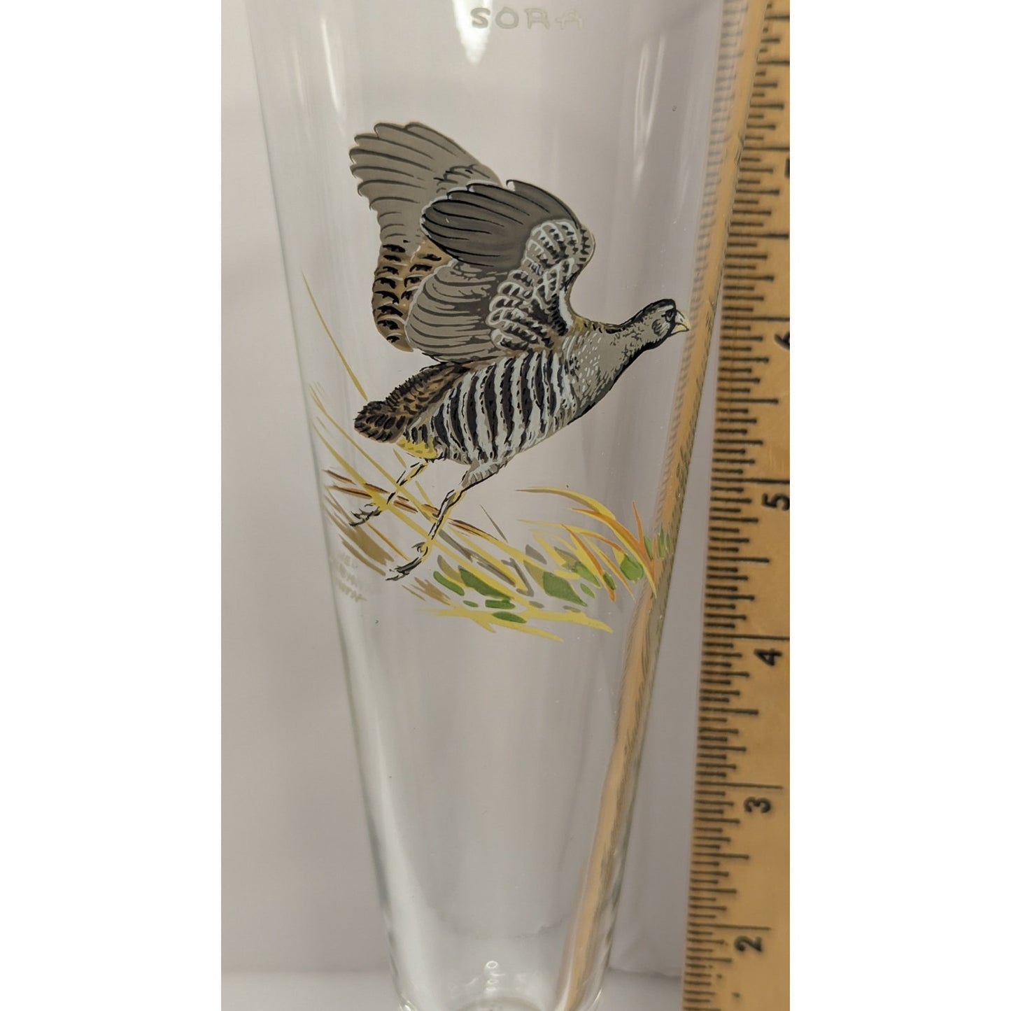 Vintage Ned Smith Hand Painted 8.25" SORA Gold Rimmed Pilsner Glass Waterfowl