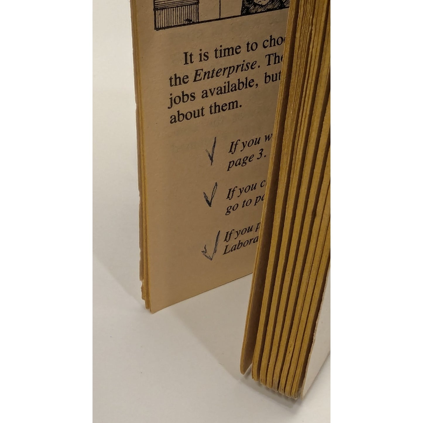 1984 Star Trek Voyage to Adventure Which Way Books by Michael J. Dodge Illustrated