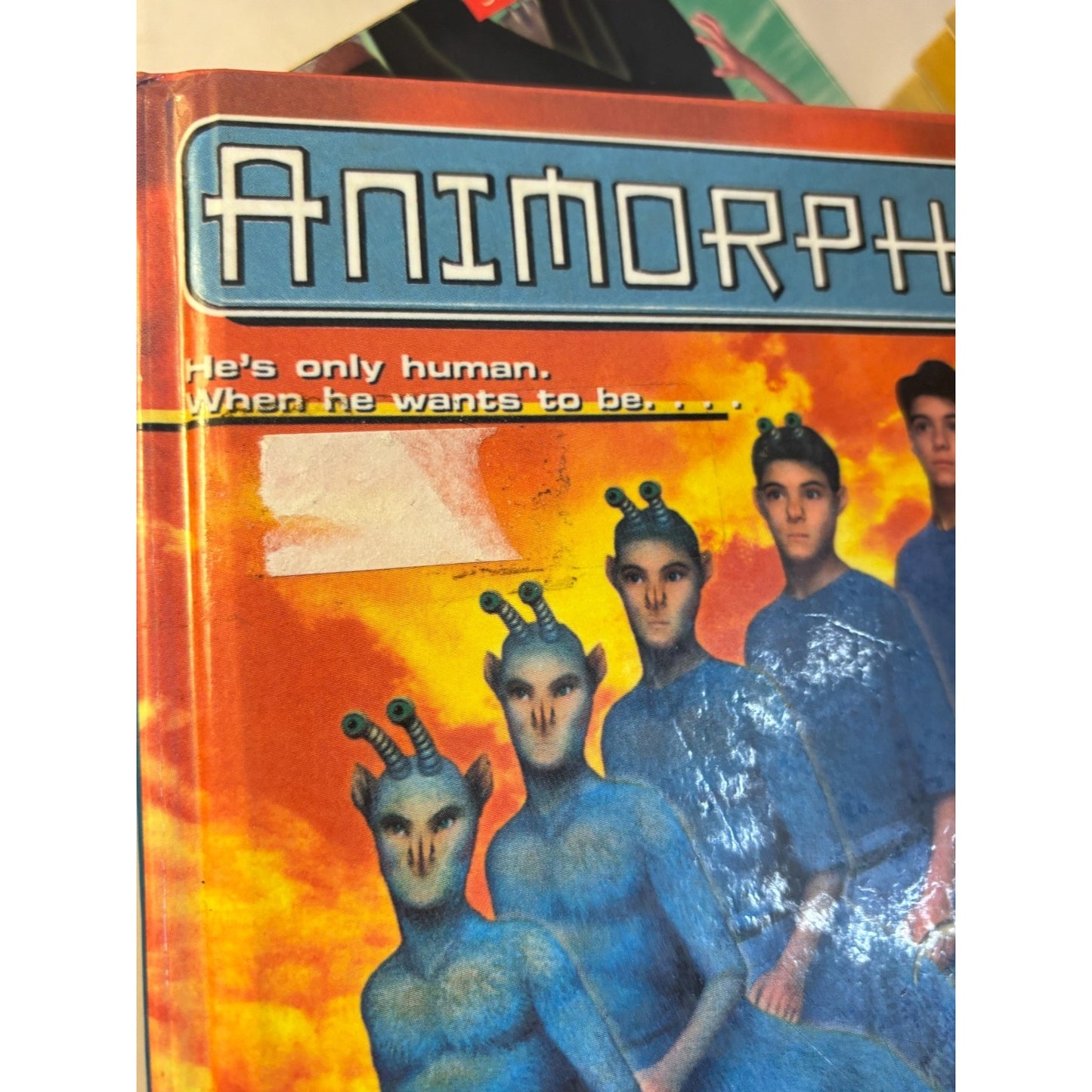 Vintage Animorphs Lot of 36 Books Nickelodeon 90s Some 1st Prints & Hard Covers