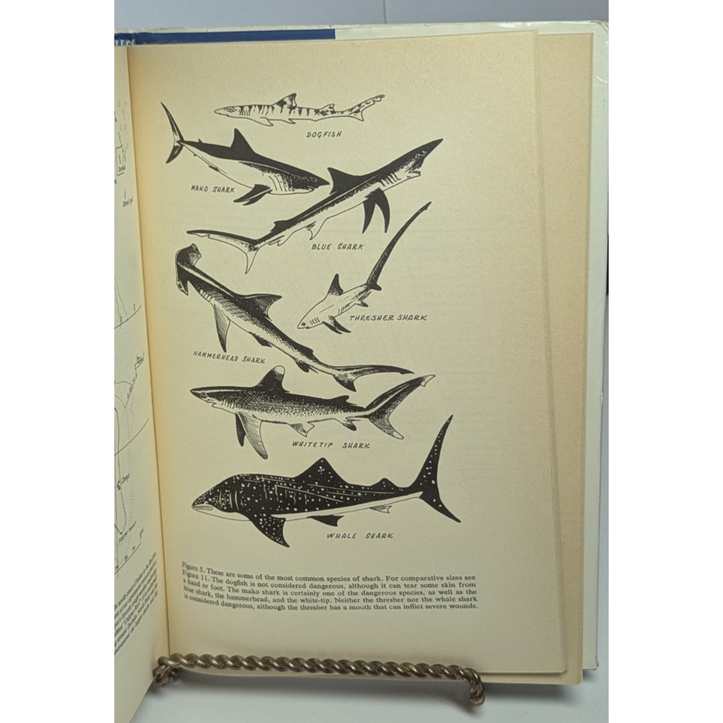 The Shark: Splendid Savage of the Sea by Jacques-Yves & Philippe Cousteau 1970