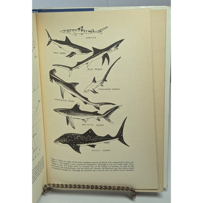 The Shark: Splendid Savage of the Sea by Jacques-Yves & Philippe Cousteau 1970