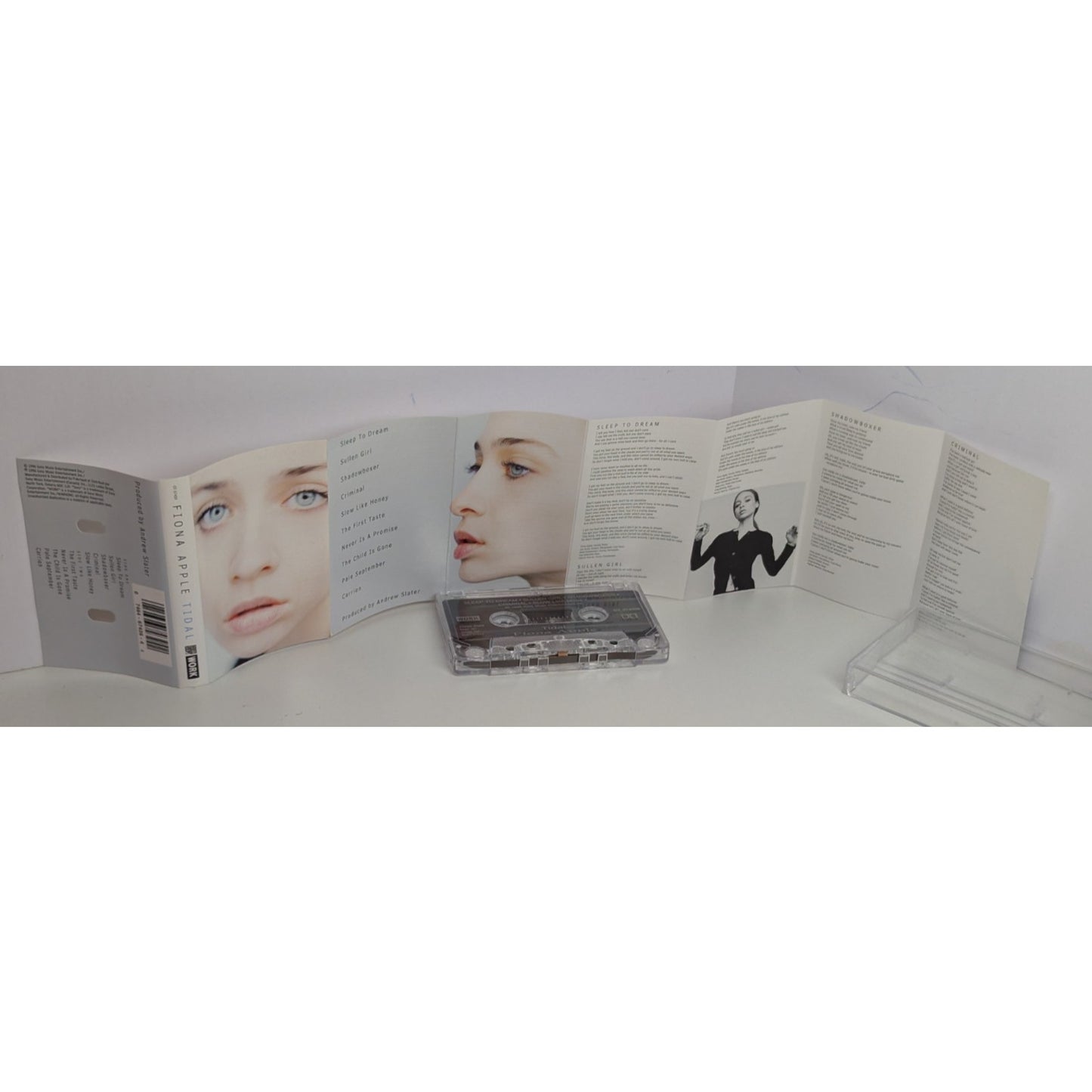 Tidal by Fiona Apple Cassette Tape (1996) TESTED Sleep to Dream Criminal