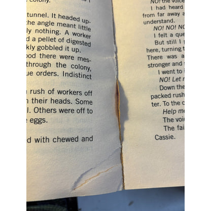 Vintage Animorphs Lot of 36 Books Nickelodeon 90s Some 1st Prints & Hard Covers