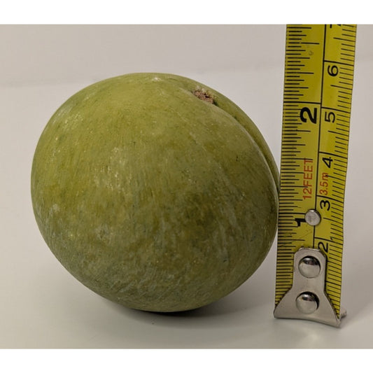 Vintage Green Hand Painted Italian Alabaster Stone Fruit Greengage Plum 9oz
