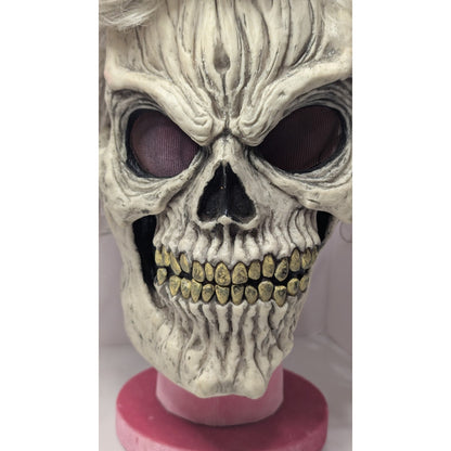 Easter Unlimited Skull Ghoul Mask Hair Fun World Rare Halloween Retro Horror VTG