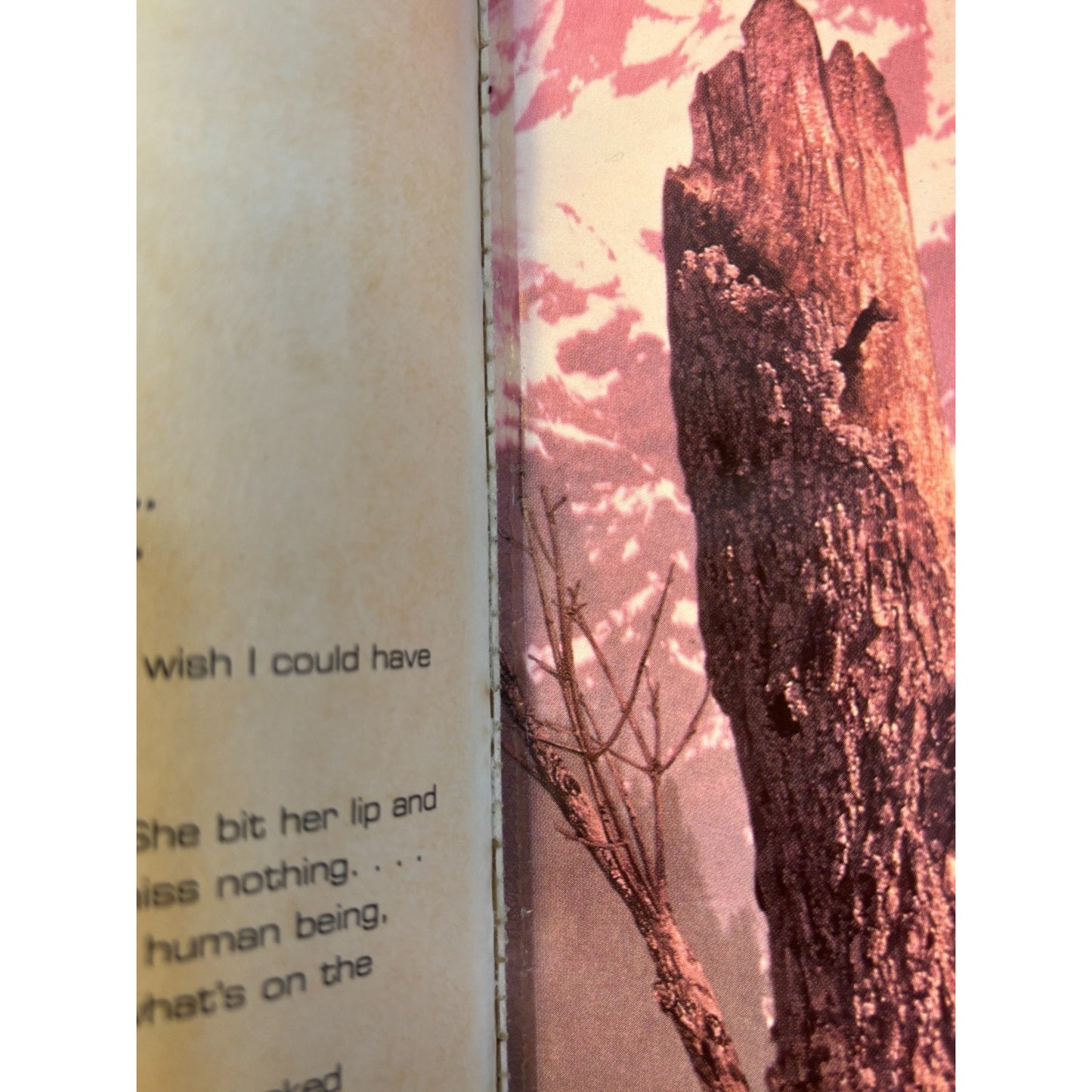 Vintage Animorphs Lot of 36 Books Nickelodeon 90s Some 1st Prints & Hard Covers