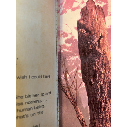 Vintage Animorphs Lot of 36 Books Nickelodeon 90s Some 1st Prints & Hard Covers