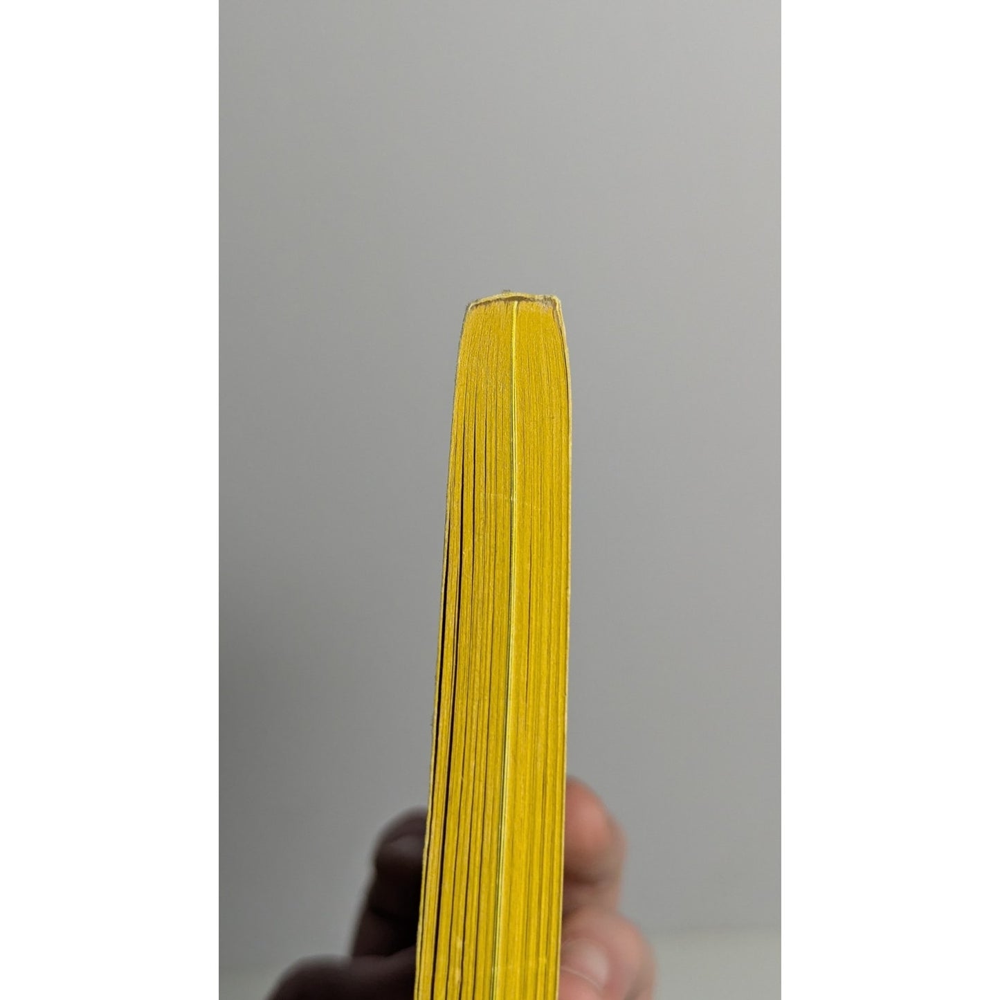 Ferris Bueller's Day Off Paperback First Edition First Printing by Todd Strasser