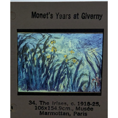 Beyond Impressionism Cassette and Slides Course Metropolitan Museum of Art Monet