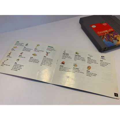 Legacy of the Wizard - NES Nintendo - Game Cartridge and Manual