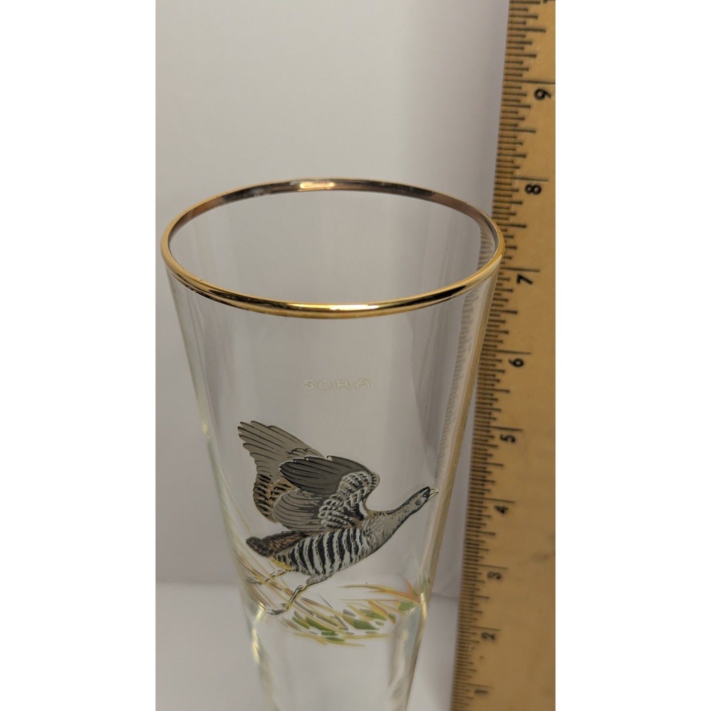 Vintage Ned Smith Hand Painted 8.25" SORA Gold Rimmed Pilsner Glass Waterfowl