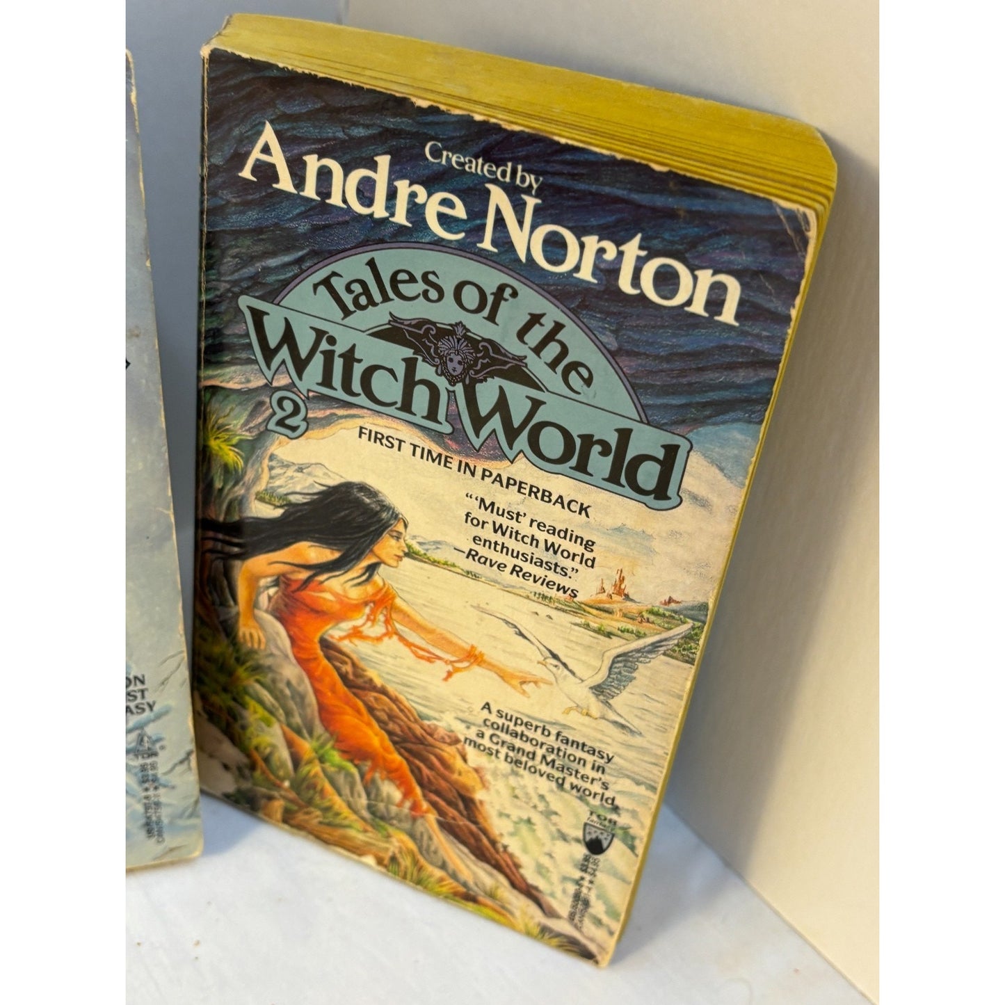Lot 2 Books Tales of the Witch World 1 & 2 Andre Norton Vintage 1989 Paperback
