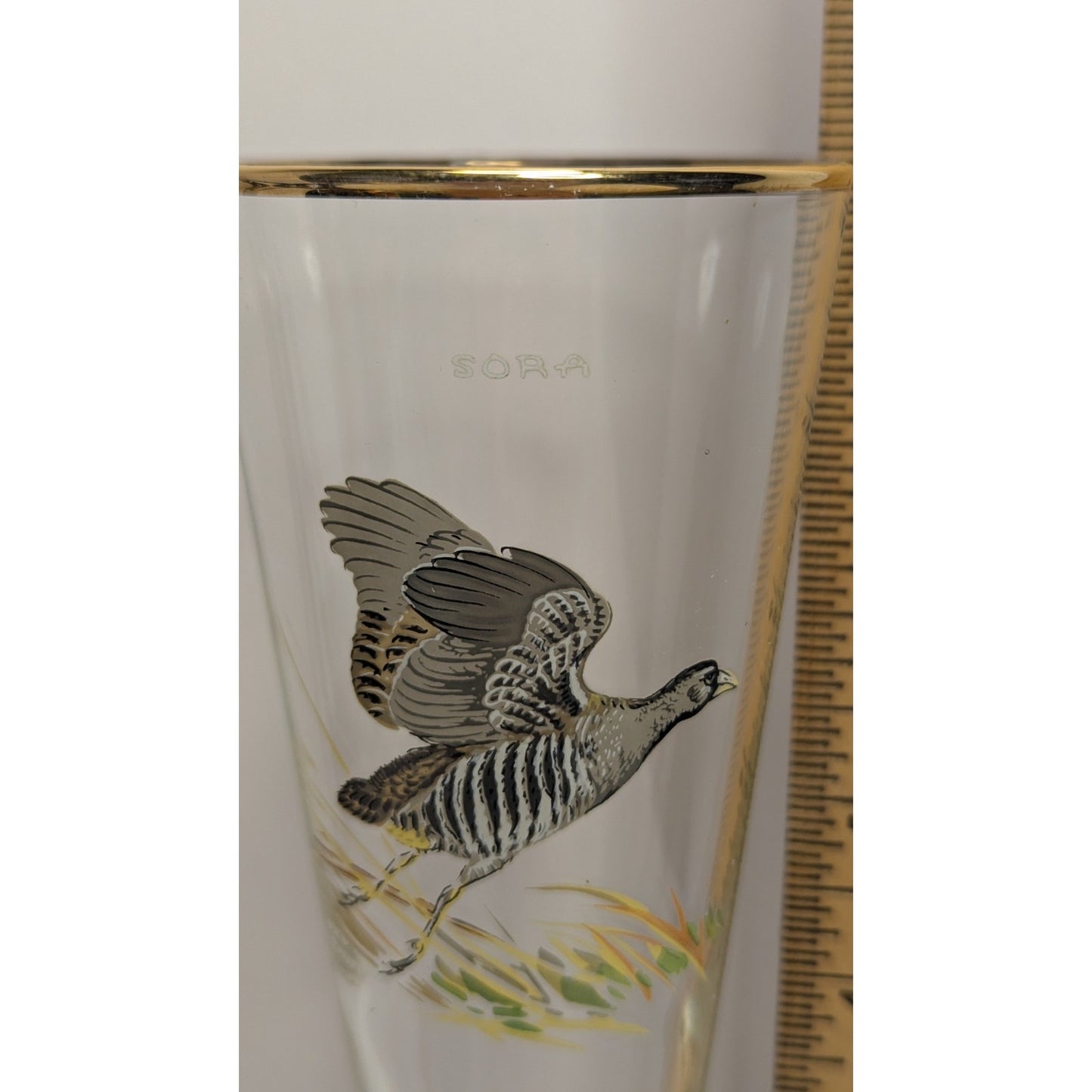 Vintage Ned Smith Hand Painted 8.25" SORA Gold Rimmed Pilsner Glass Waterfowl
